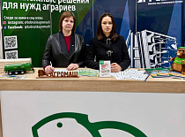Заключительный день республиканской ярмарки вакансий