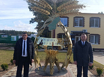 Дажынкі-2025