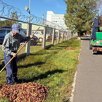 Городской субботник