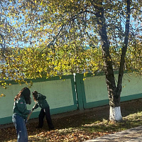 Городской субботник