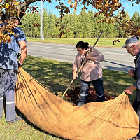 Городской субботник