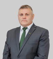 Гомон Сергей Васильевич 