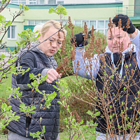 Республиканский субботник 2026