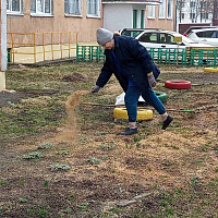 Городской субботник